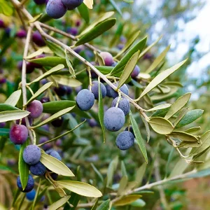 fotografia-exteriores